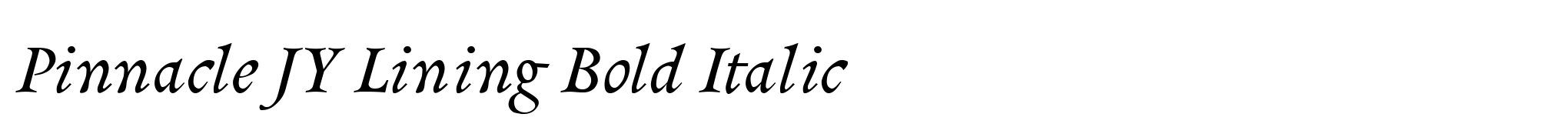 Pinnacle JY Lining Bold Italic image
